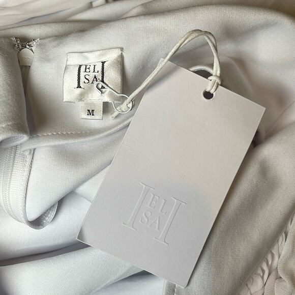 Helsa Amber Sheer Mesh Halterneck Tie Bodycon White Maxi Dress Size Medium - Picture 10 of 11